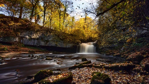 Autumn woodland landscape featuring a small waterfall flowing into a rocky stream, surrounded by golden foliage, moss-covered stones, and fallen leaves.